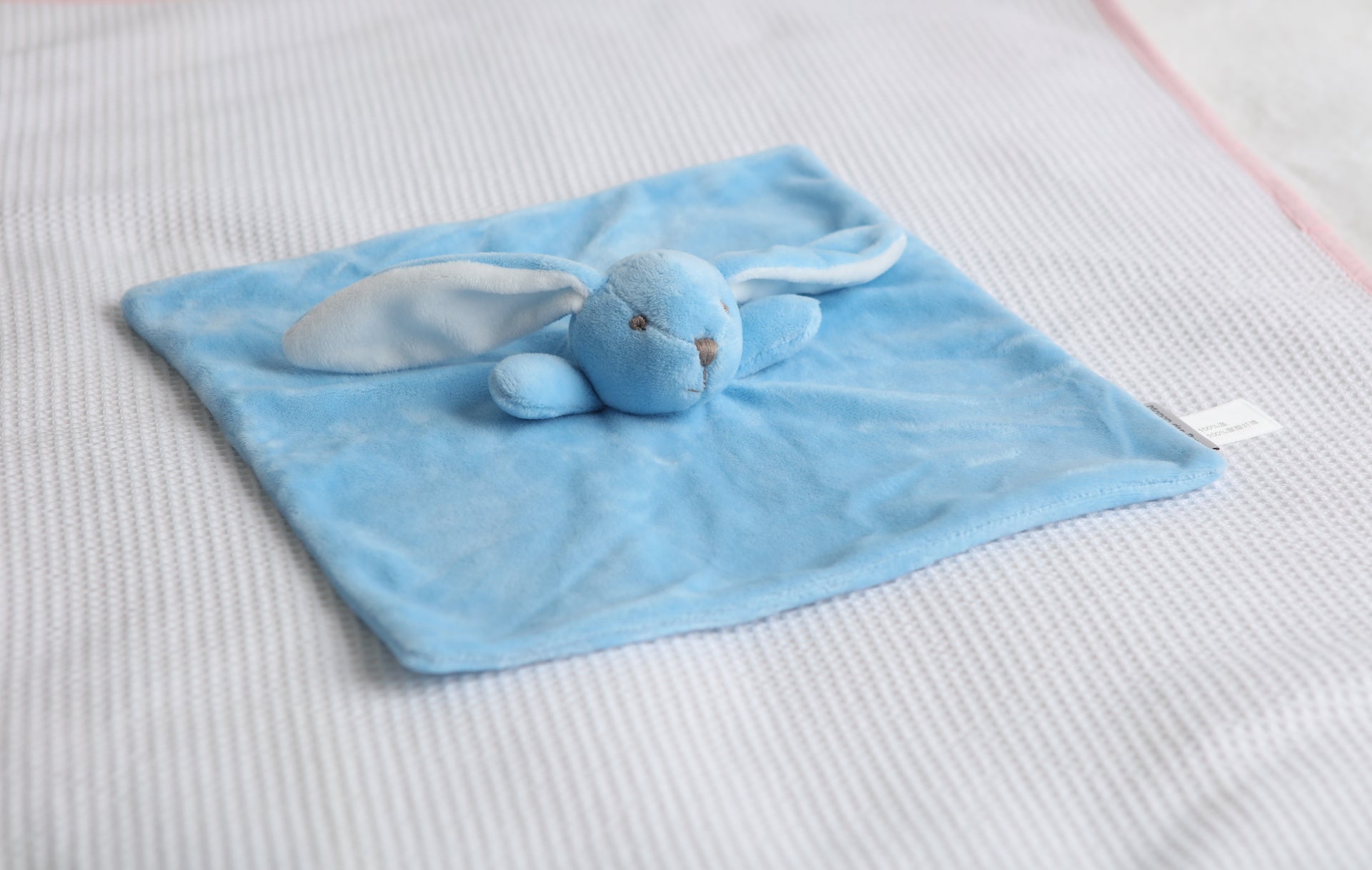 Vista de Tuto con conejo celeste de plush